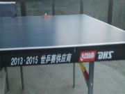 T3526红双喜乒乓球台